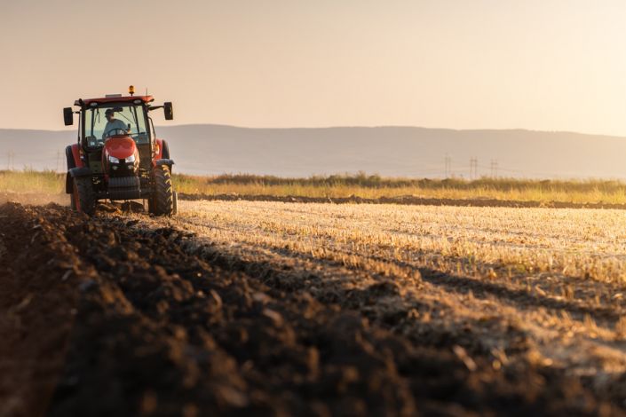 Ihr Partner für landwirtschaftliche Immobilien | Baltik Immobilien